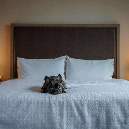 Homewood Suites By Hilton Chicago West Loop Fulton Mkt Area Extérieur photo