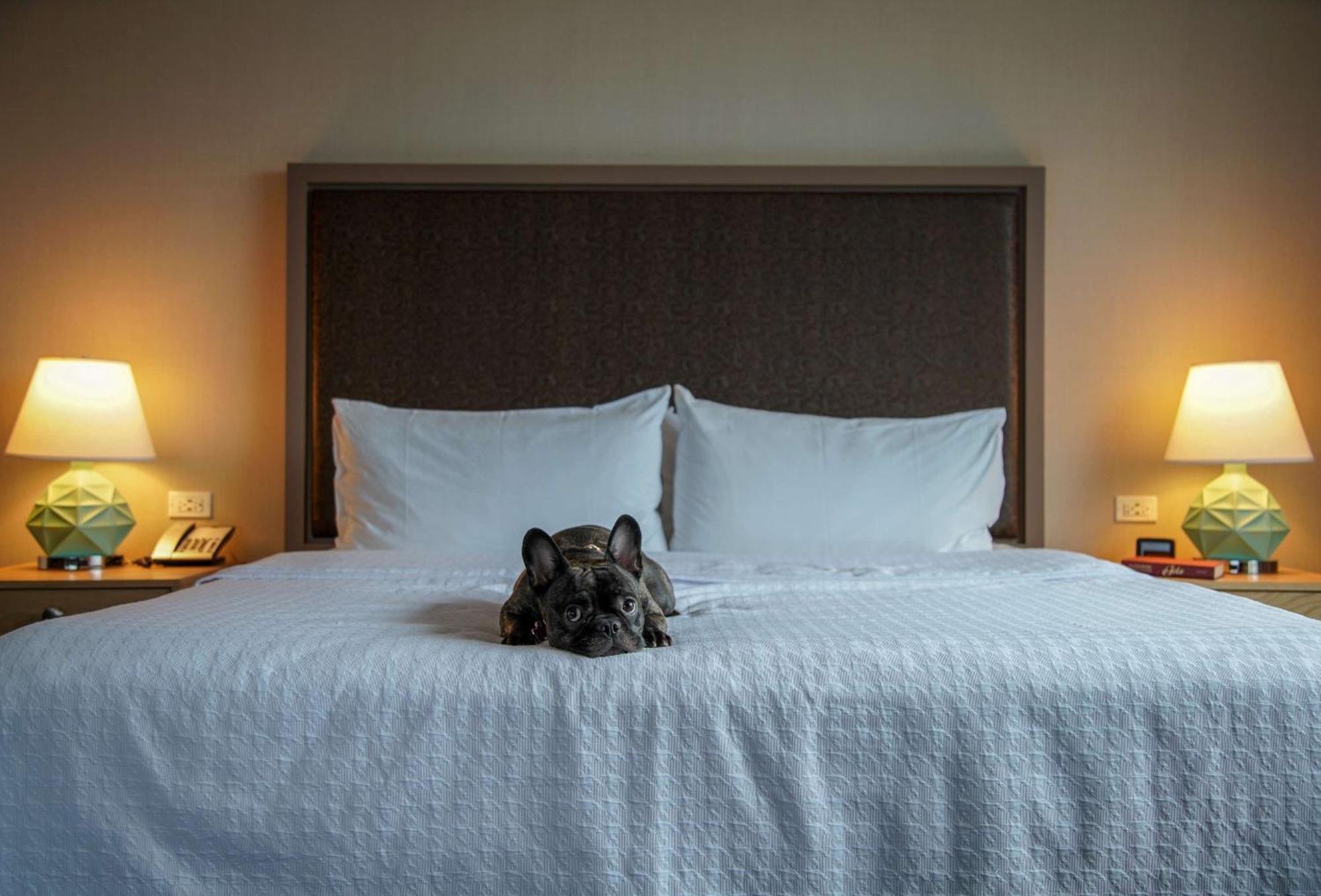 Homewood Suites By Hilton Chicago West Loop Fulton Mkt Area Extérieur photo